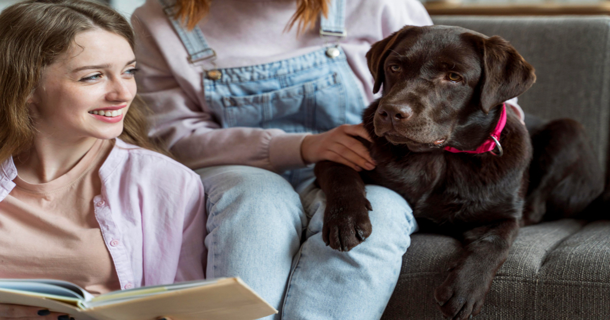 O que é pet sitter e quando contratar um?